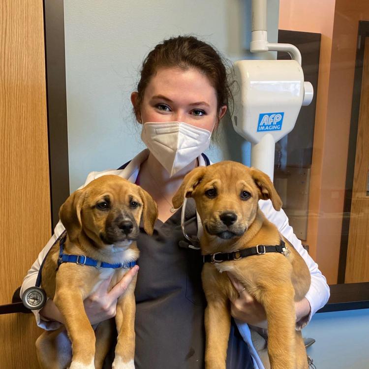 Cherry Ridge Veterinary Clinic Honesdale, PA